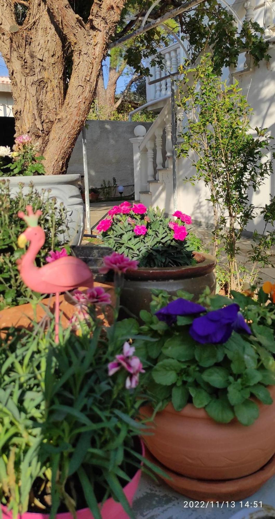 Secret Garden Home Lagonissi Attiki Melissourgoú Exteriér fotografie
